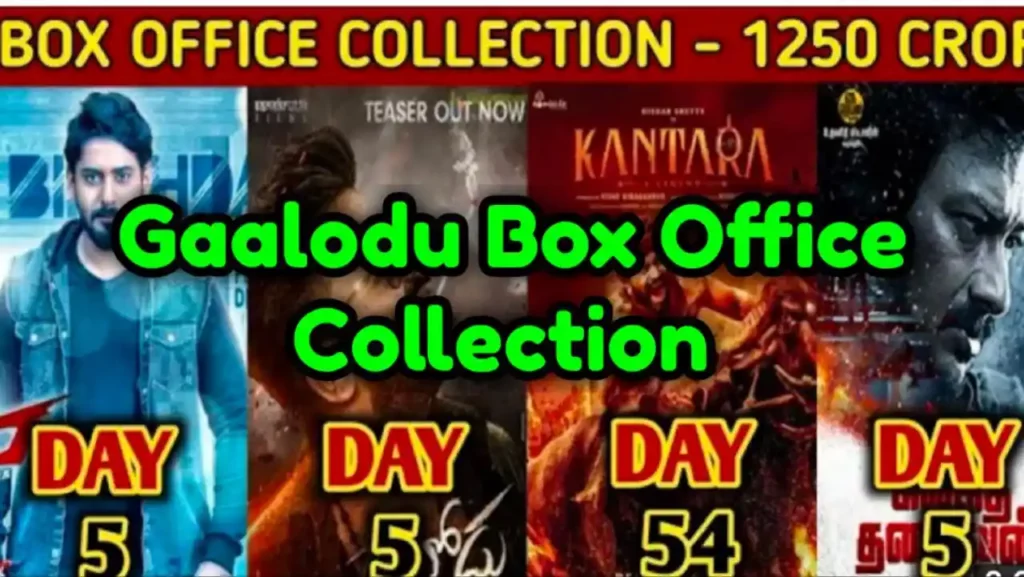 Gaalodu Box Office Collection 2022