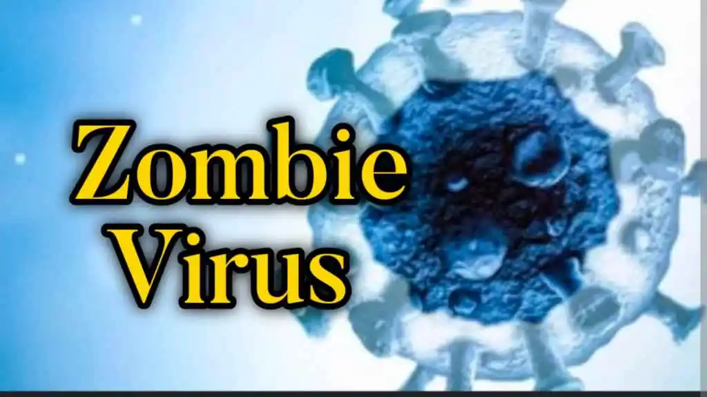 Zombie Virus in India