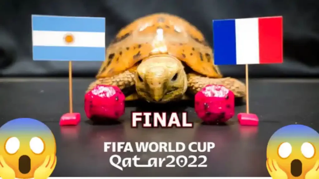 FIFA World Cup Final Match 2022