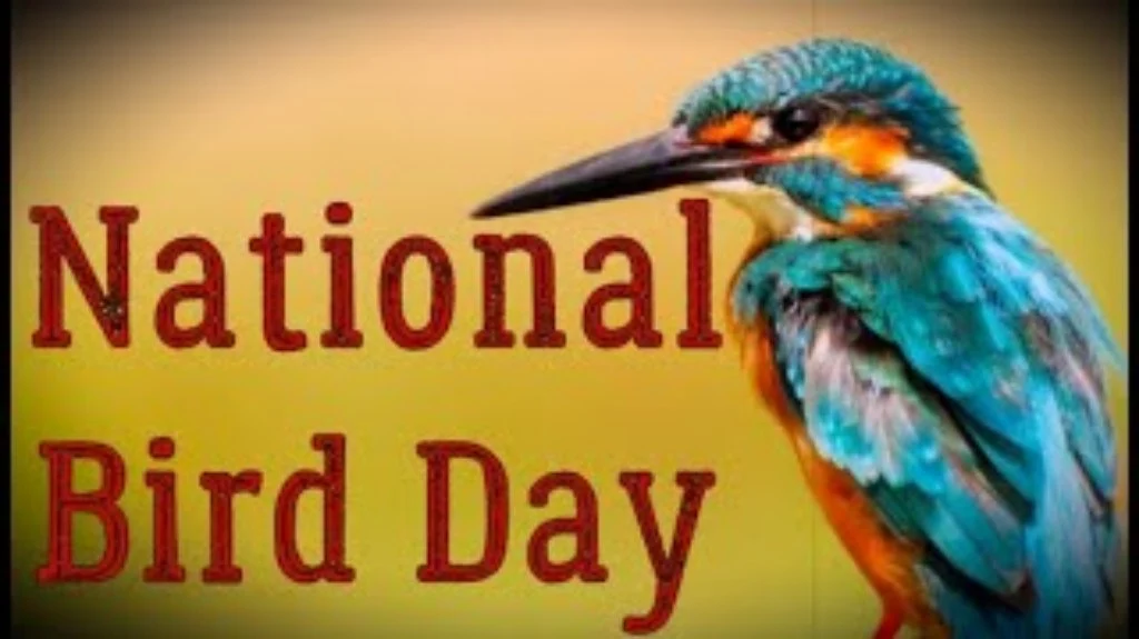 National Bird Day 2023 - Date, History, Fun Facts, Importance -  