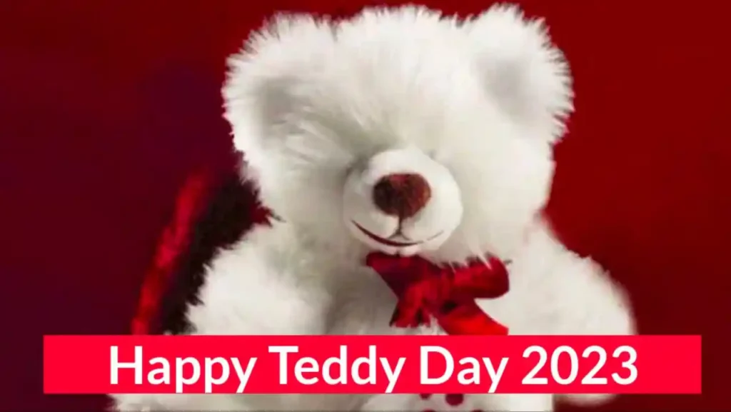 Happy Teddy Day Wishes 2023, SMS, Quotes, Sayari 