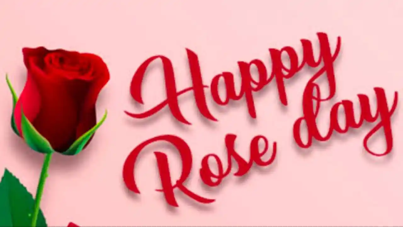 Happy Rose Day Wishes, SMS, Messages, Quotes, Whatsapp Status, Images -  