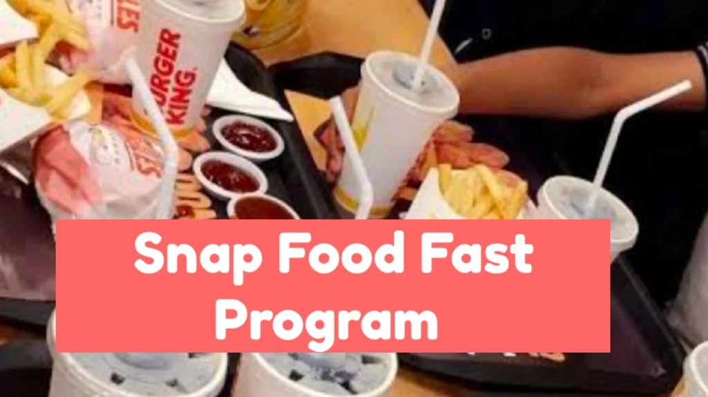 Snap Food Stamp Program