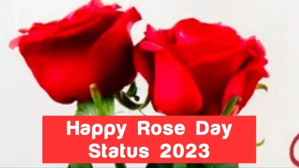 Rose Day 2023 Status, Images, Shayari, Whatsapp Status -  