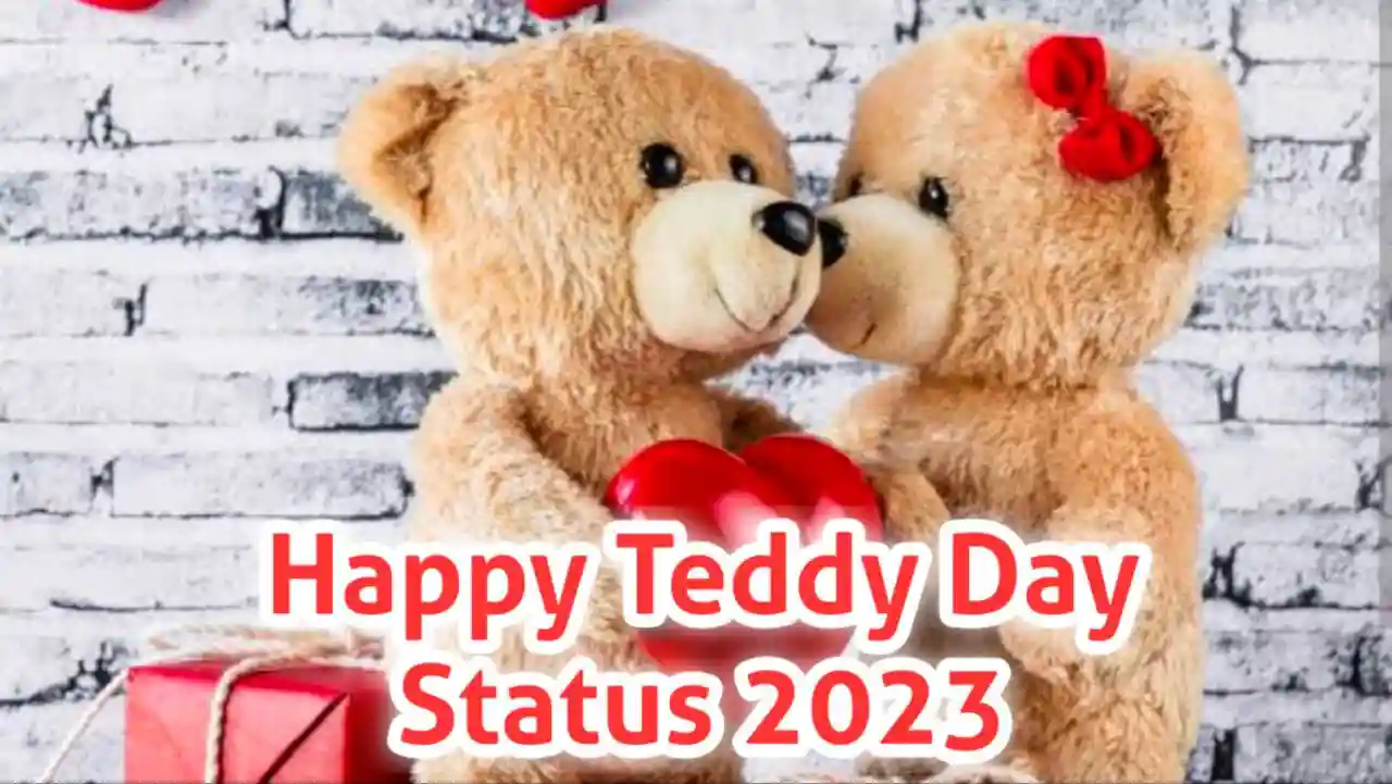 Teddy Day Status 2023, Shayari, Images, Quotes, SMS, GF Messages ...