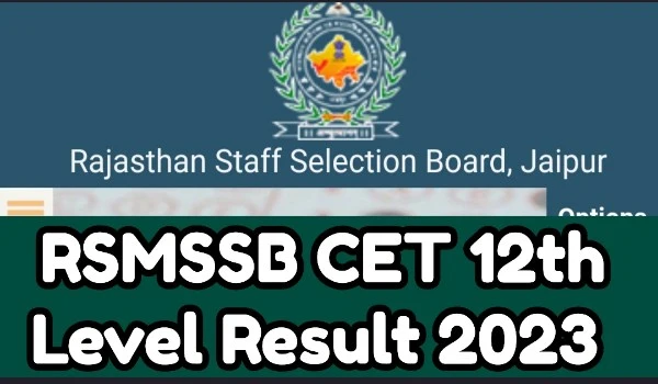 RSMSSB CET 12th Level Result